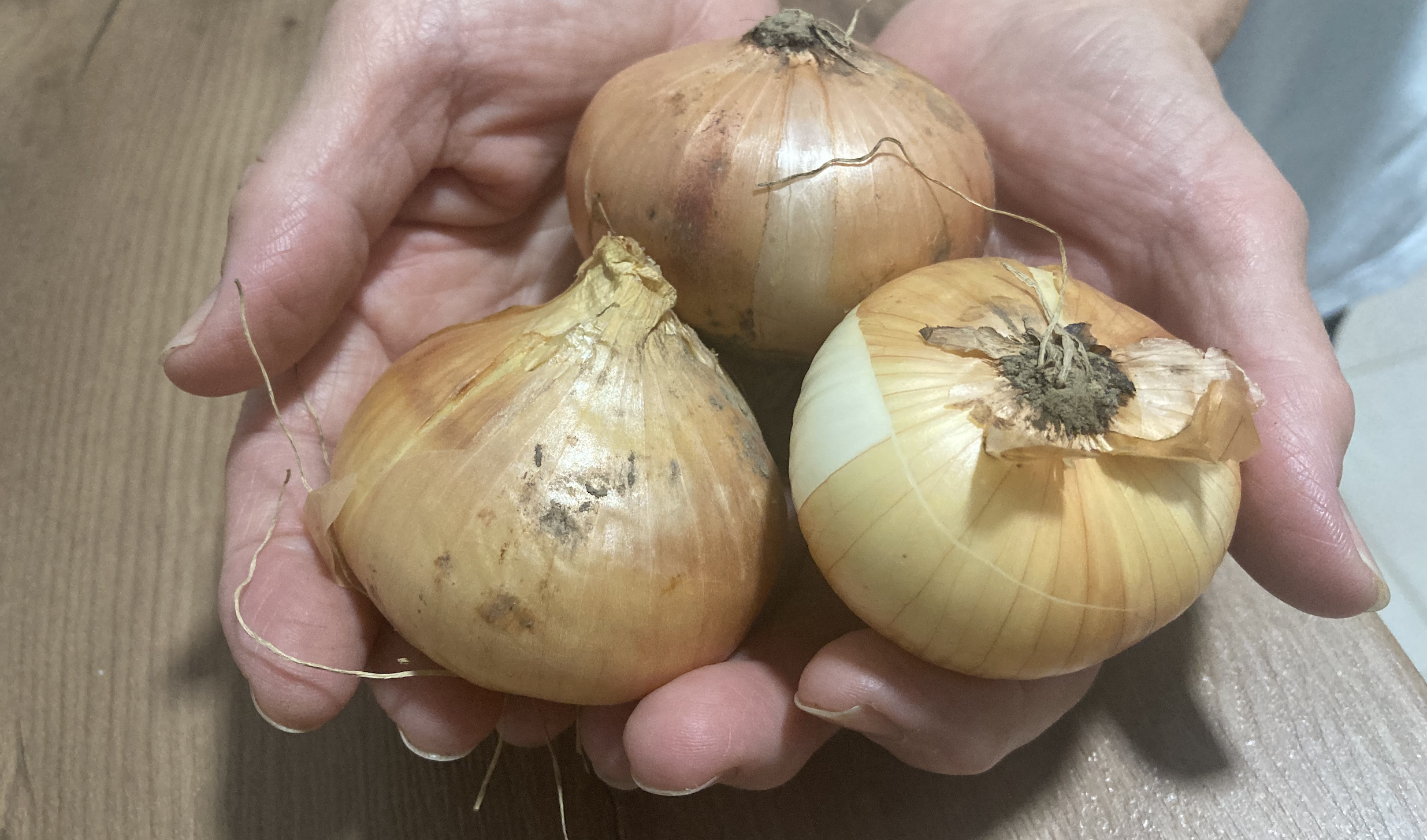 Moja mama nauczyła mnie, że cebula z miodem i kurkumą łagodzi najgorszy kaszel i oczyszcza płuca w ciągu 1 nocy: Pomoże także długoletnim palaczom, oto przepis!