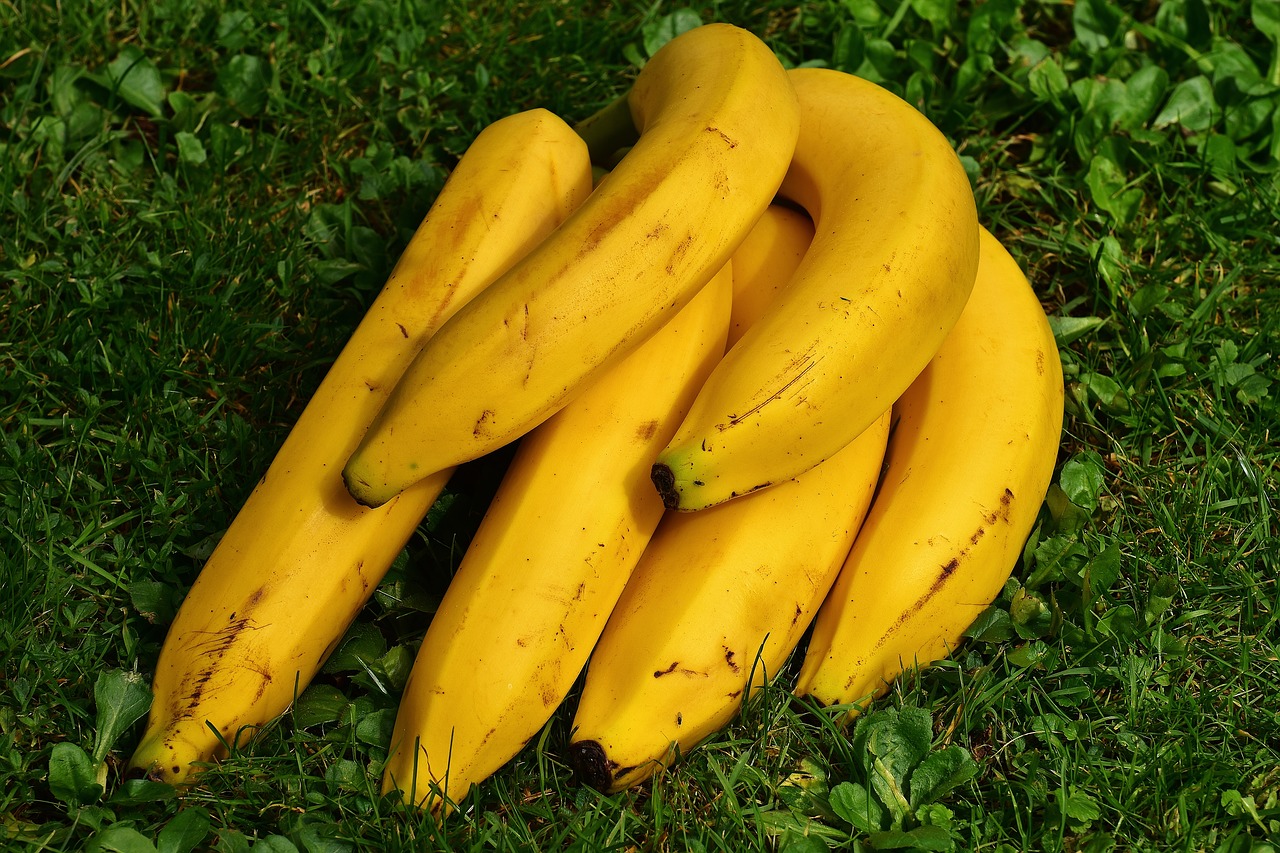 Który z bananów na zdjęciu jest najzdrowszy? Większość ludzi nie odgadnie właściwej odpowiedzi!