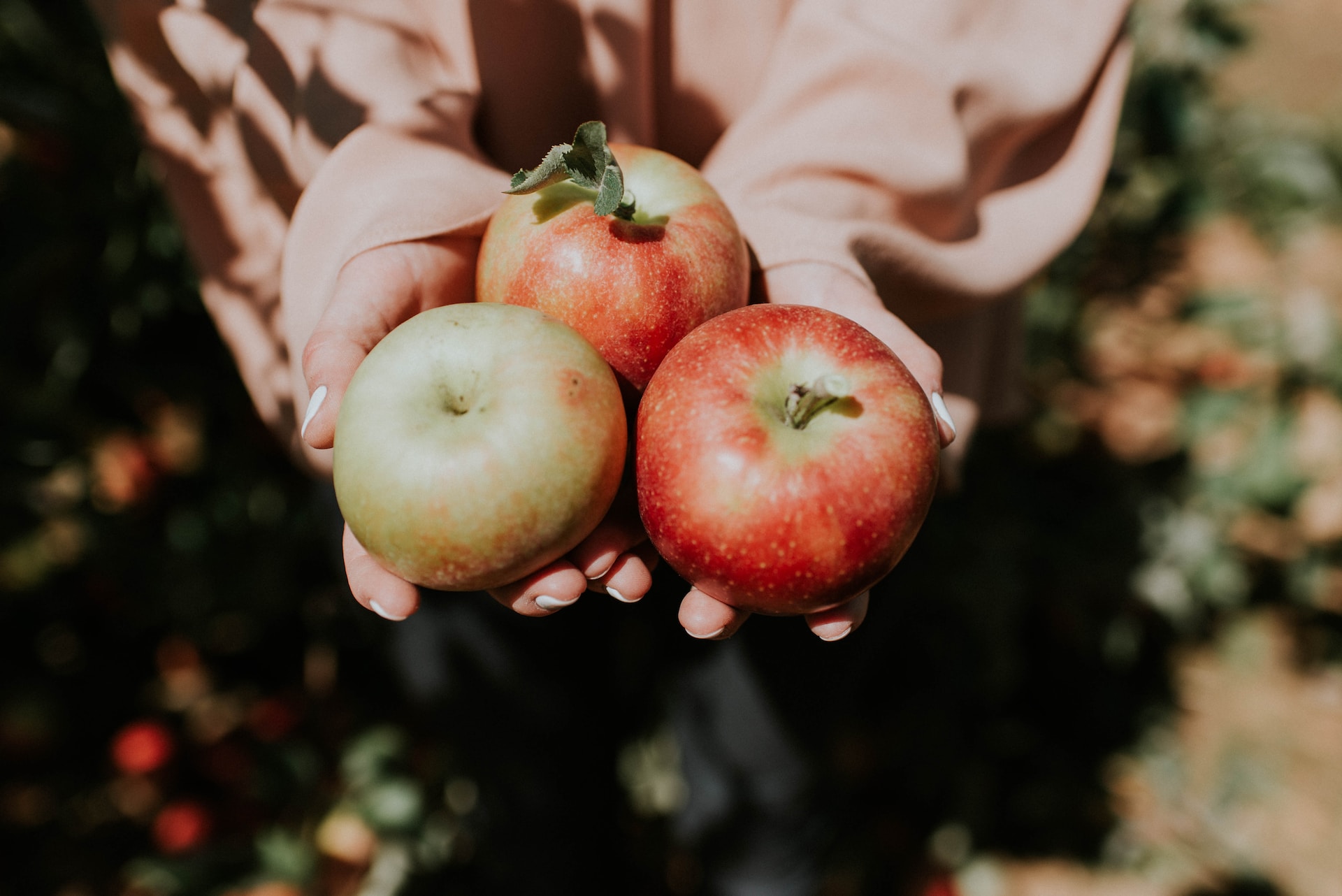 Magic Mug Apple Pie: Najlepsza szarlotka, jaką kiedykolwiek próbowałam, zrobiona bez żadnego wysiłku!