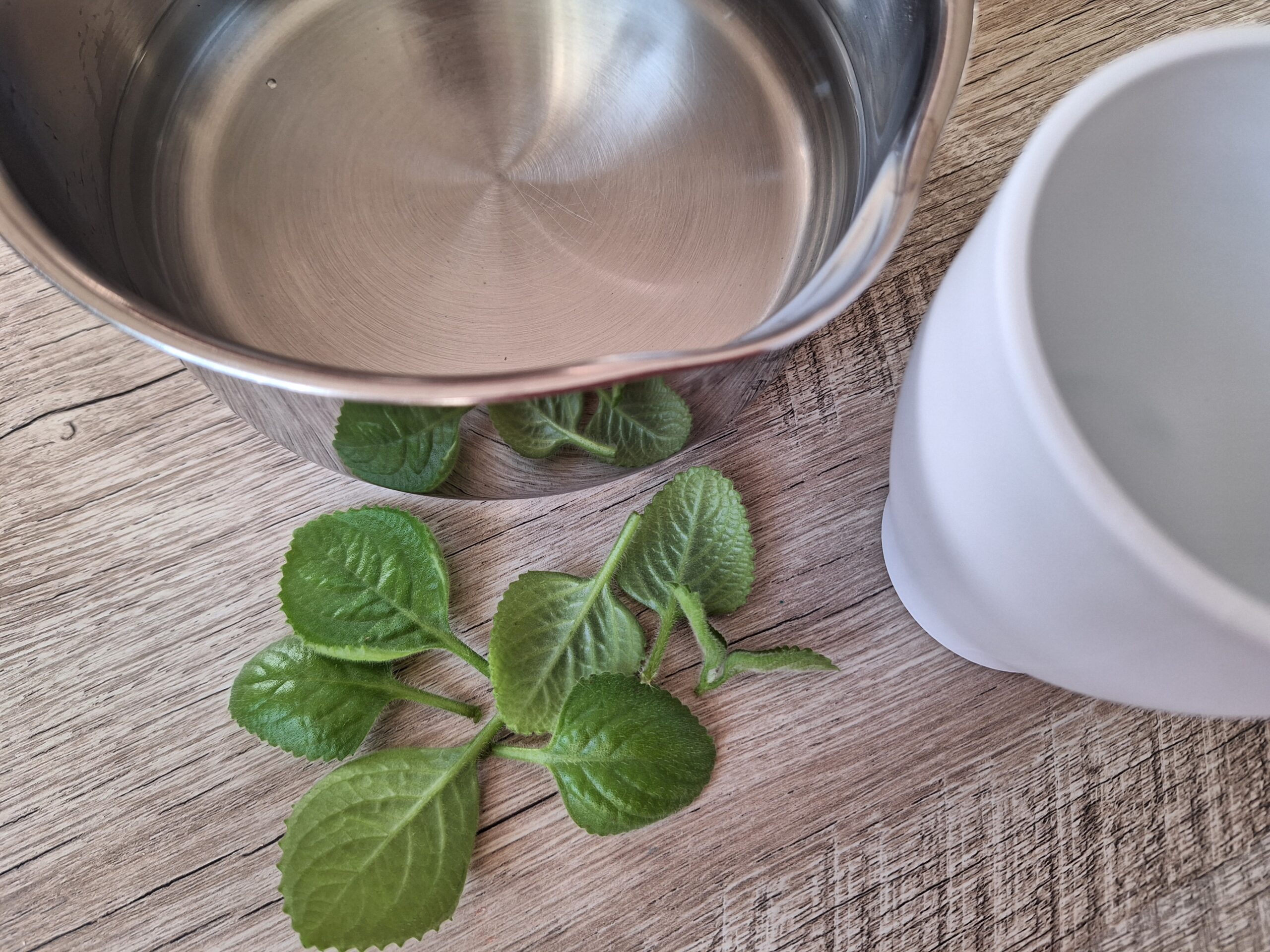 Umieść tę roślinę w swoim pokoju i wreszcie się prześpij: jeśli masz alergię lub zatkane zatoki, pomoże to lepiej niż spray do nosa!